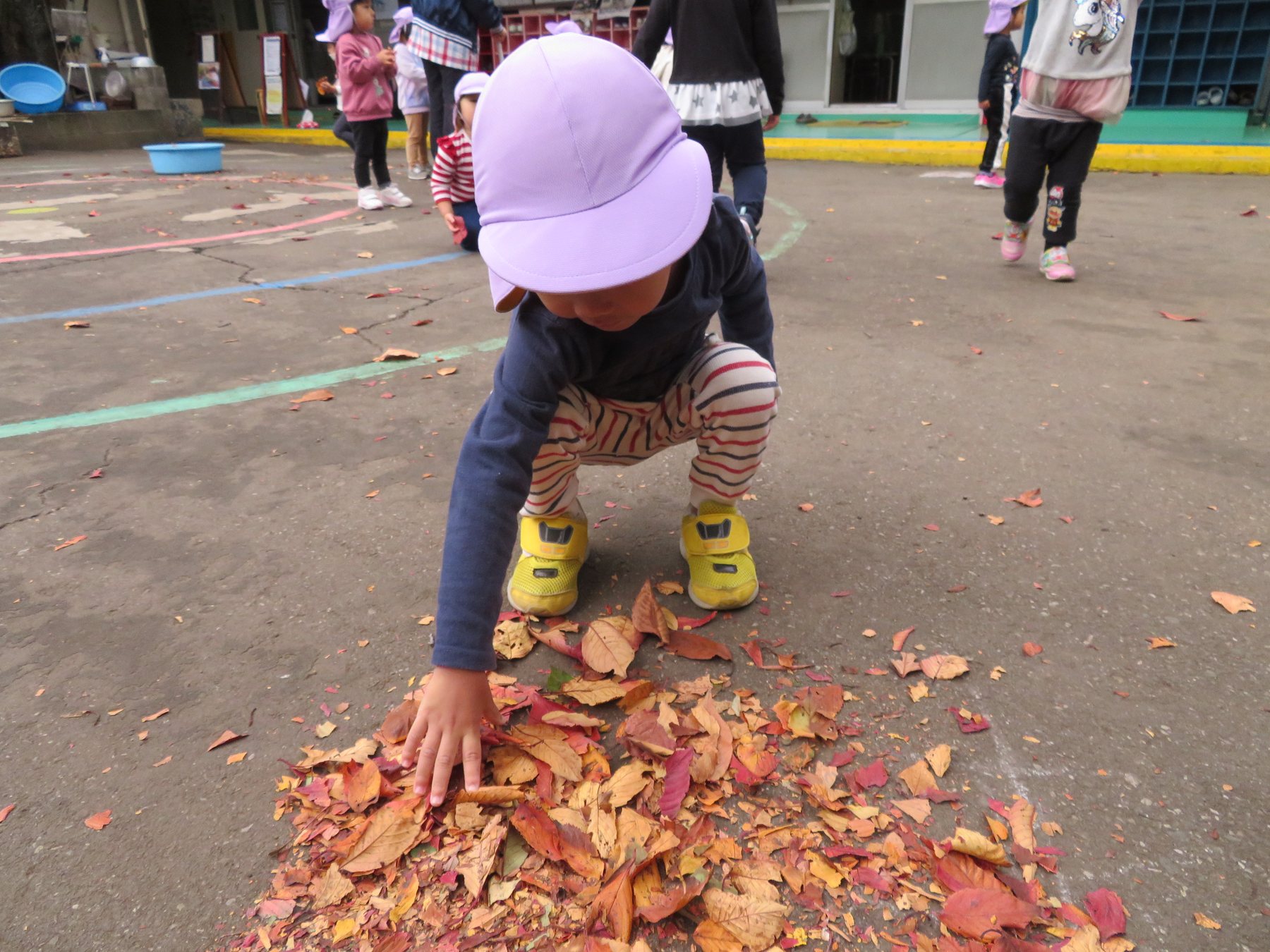 園庭で落ち葉に触れる子ども