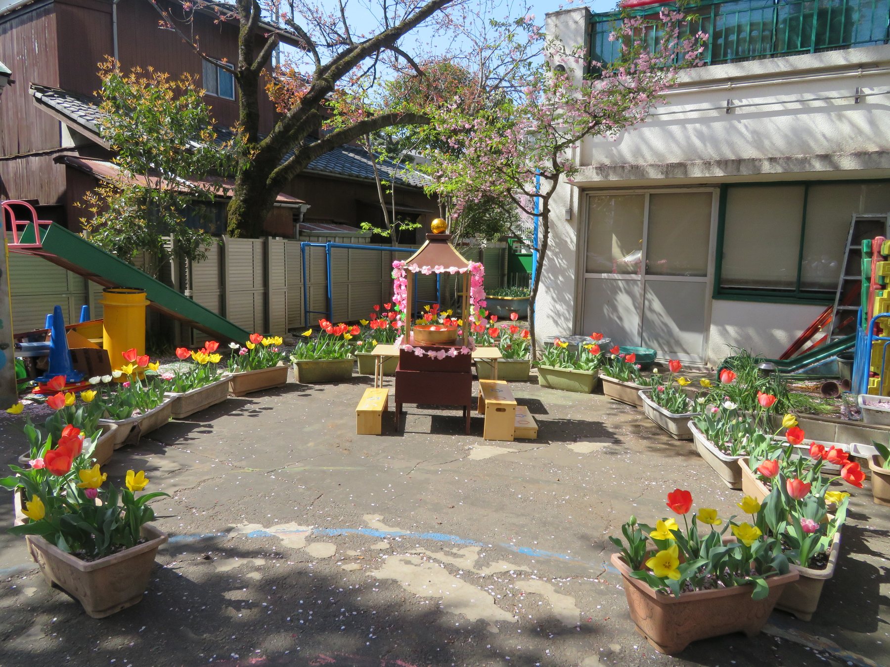 園庭に花が並ぶ獅子吼保育園の様子
